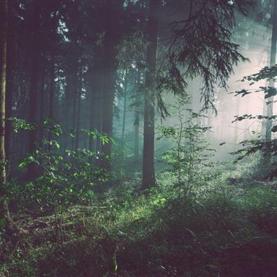 万博官网manbetx-登录入口